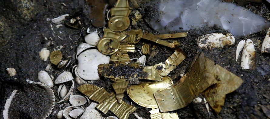 Encuentran un lobo cubierto de oro en el corazón de México