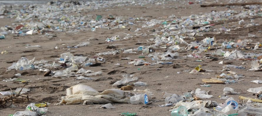 ¿A dónde van los desechos que terminan en las playas y mares?