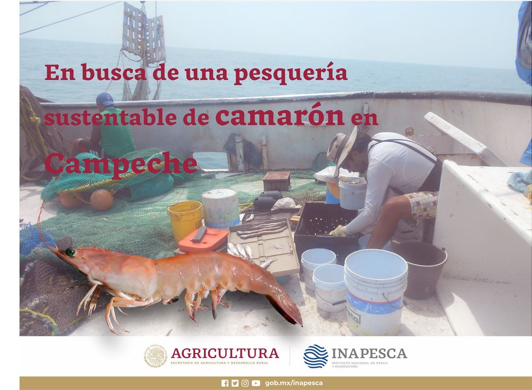 Esta imagen tiene un atributo ALT vacío; su nombre de archivo es 120811845_1624362034412964_8169887610962892884_o.jpg
